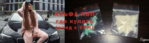 стафф Арсеньев