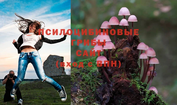 эйфоретик Михайловка