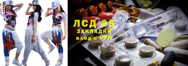 стафф Арсеньев