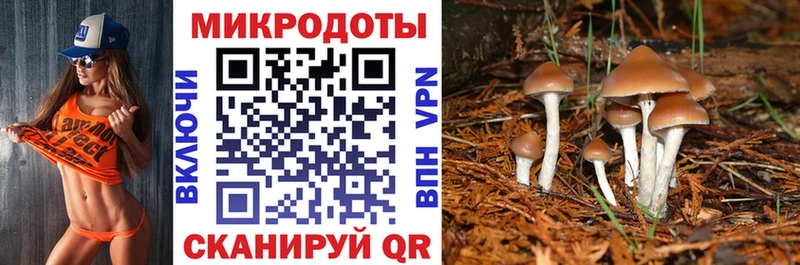 Псилоцибиновые грибы мухоморы  площадка как зайти  гидра ССЫЛКА  Могоча  дарнет шоп 